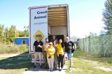 Loading team